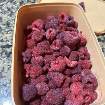 Feast Marka Ahududularda Renk Ve Tazelik Sorunu