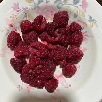 Feast Marka Ahududularda Renk Ve Tazelik Sorunu