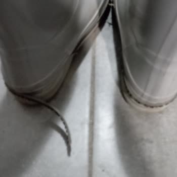 Gezer Çizme Kalitesi Hayal Kırıklığı Yarattı