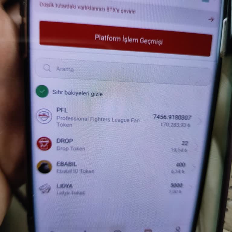 Bitci Borsası'nda İşlem Engeli Ve Destek Sorunları