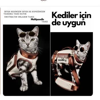 Maltipoodle.com Siparişimi Göndermedi!