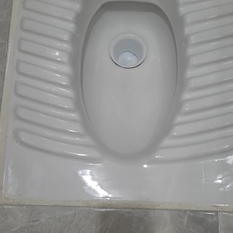 Küçük Ve Hijyenik Olmayan Tuvalet Tası Sorunu