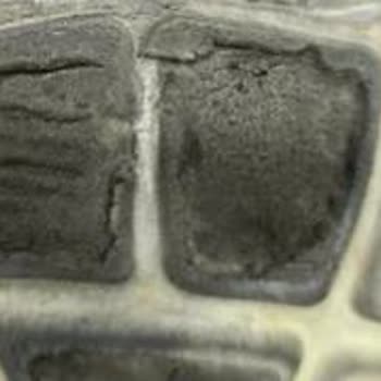 Skechers Garanti Sürecinde Hayal Kırıklığı