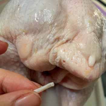 Tehlikeli Yabancı Madde: Banvit Piliç Skandalı