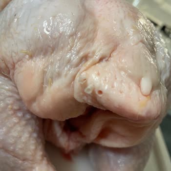 Tehlikeli Yabancı Madde: Banvit Piliç Skandalı