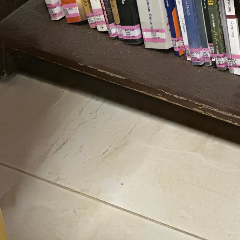 Reyhanlı Kütüphanesi'nde Yetersiz Hizmet Ve Eşitsizlik