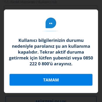Denizbank Mobil Uygulama Giriş Sorunu Ve Gereksiz Şube Yönlendirmesi
