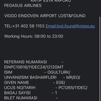 Pegasus Left My Luggage in Istanbul – No Support for Immediate Needs