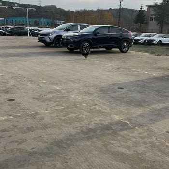 Citroen Bayisinde Teslimat Kabusu: Çizikler Ve İletişim Sorunları