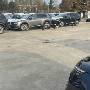 Citroen Bayisinde Teslimat Kabusu: Çizikler Ve İletişim Sorunları