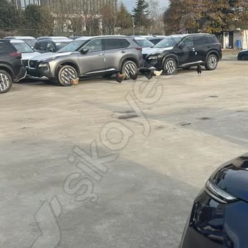 Citroen Bayisinde Hayal Kırıklığı: Teslimat Sorunları Ve İletişim Eksikliği