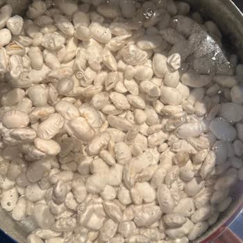 Fasulye Kabusu: Yanıltıcı Yorumlar Ve İlgisiz Satıcı