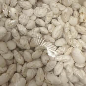 Fasulye Kabusu: Yanıltıcı Yorumlar Ve İlgisiz Satıcı