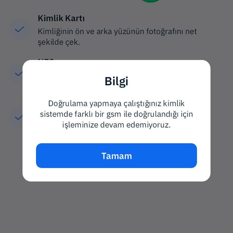 Güvenlik Zaafiyeti: MoneyPay Telefon Güncelleme Sorunu