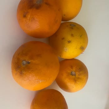 Bozuk Ürünlerle Hayal Kırıklığı