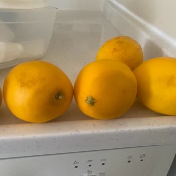 Bozuk Ürünlerle Hayal Kırıklığı