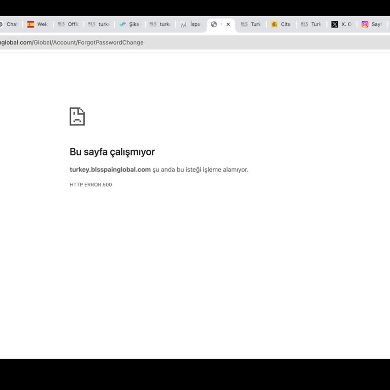 Bls International Web Sitesiyle Yaşanan Erişim Sorunları