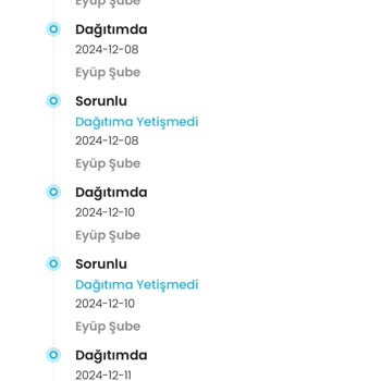 Kargo Teslimatında Yaşanan Sorunlar