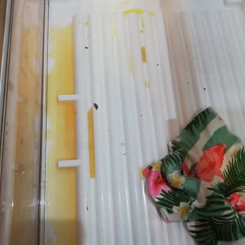 Siemens Buzdolabı Hayal Kırıklığı: Meyve Ve Sebzeler Çöp Oluyor