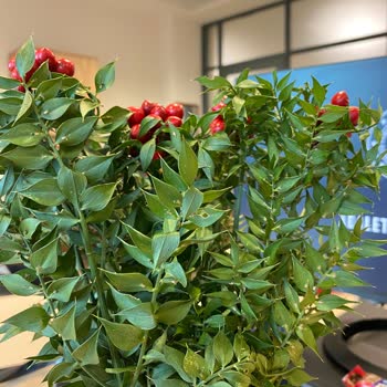 Eksik Ve Çürük Ürün, İletişim Sorunu