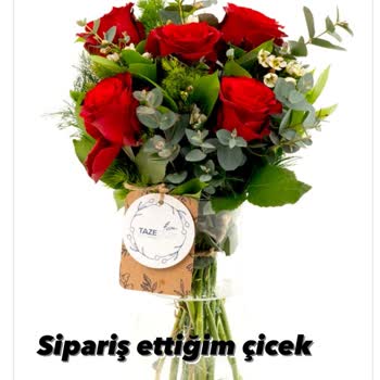 Özür Çiçeği Kabusu: Müşteri Memnuniyetsizliği