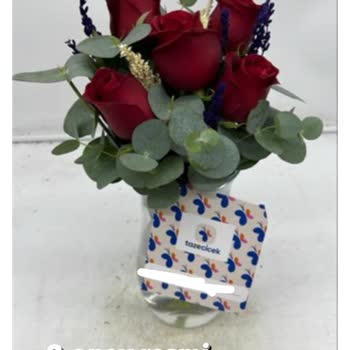 Özür Çiçeği Kabusu: Müşteri Memnuniyetsizliği