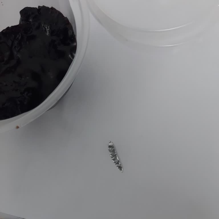 Burger King Suflesinde Metal Parça Şoku