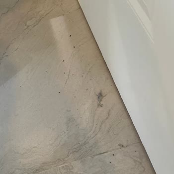 Sinbo Ve Şok Market Arasında Kalan Müşteri Mağduriyeti