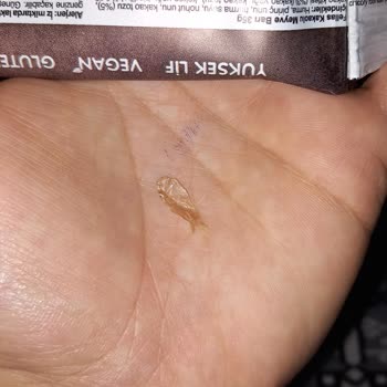 Fellas Foods Kakao Barında Plastik Parçası Şoku