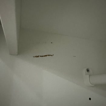 Hatalı Ürün Ve İade Sürecinde Yaşanan Sorunlar