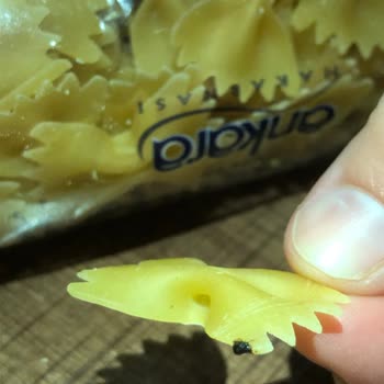 Ankara Makarna Paketinde Kurumuş Böcek Şoku