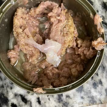 Wawa Ton Balığında Kılçık Ve Kötü Koku Şoku