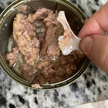 Wawa Ton Balığında Kılçık Ve Kötü Koku Şoku