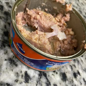 Wawa Ton Balığında Kılçık Ve Kötü Koku Şoku