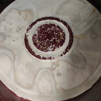 Domol Bulaşık Deterjanı İle Hayal Kırıklığı Ve Zarar