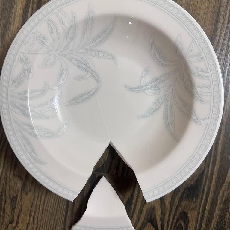 Kırık Tabak Sorunu Ve Yetersiz Müşteri Hizmeti