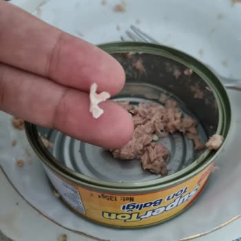 Superfresh Ton Balığı İçinden Çıkan Tehlikeli Yabancı Madde