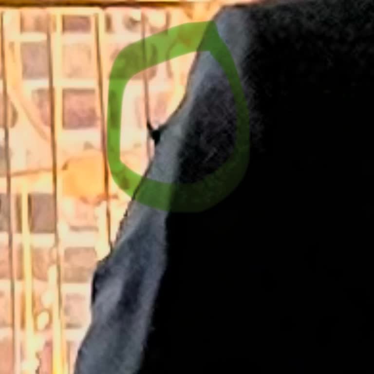 Kiğılı Giyim Alınan Cekette Hayal Kırıklığı Ve İlgisizlik