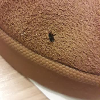 FLO Mağazasından Aldığımız Ayakkabının Kalitesizliği Ve İade Sorunu