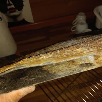 Guruss Mangal Kalitesi Hayal Kırıklığı Yaşattı