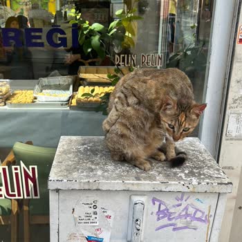 TÜRKSAT Saha Kutusu Görüntü Kirliliği Ve İlgisizlik