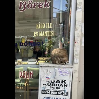 TÜRKSAT Saha Kutusu Görüntü Kirliliği Ve İlgisizlik