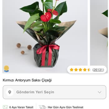 Yanlış Ürün Teslimatı Ve İletişim Sorunları