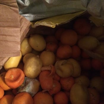 PTT Kargo İle Trakya Turu: Bozulan Ürünler Ve Zararımın Bedeli