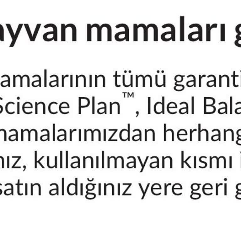 Kedimin Sağlığını Tehlikeye Atan Mama Ve İlgisiz Müşteri Hizmetleri