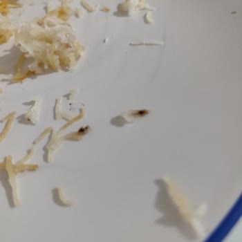 Tatseli - Nevzat Tatlıcılık Kadayıfın İçinden Yerken Garip Bir Şey Çıktı