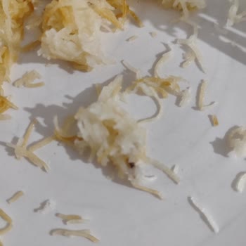 Tatseli - Nevzat Tatlıcılık Kadayıfın İçinden Yerken Garip Bir Şey Çıktı