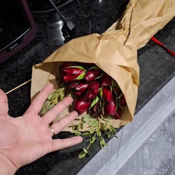 Yanıltıcı Görsel: Önemli Günde Hayal Kırıklığı