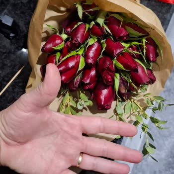 Yanıltıcı Görsel: Önemli Günde Hayal Kırıklığı