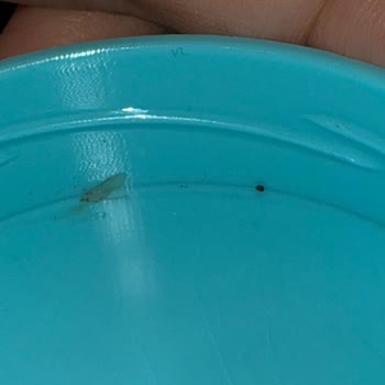 Dermokil Kil Maskesi'nde Hijyen Skandalı!